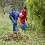 Say Good bye to Yard Work Back Pain