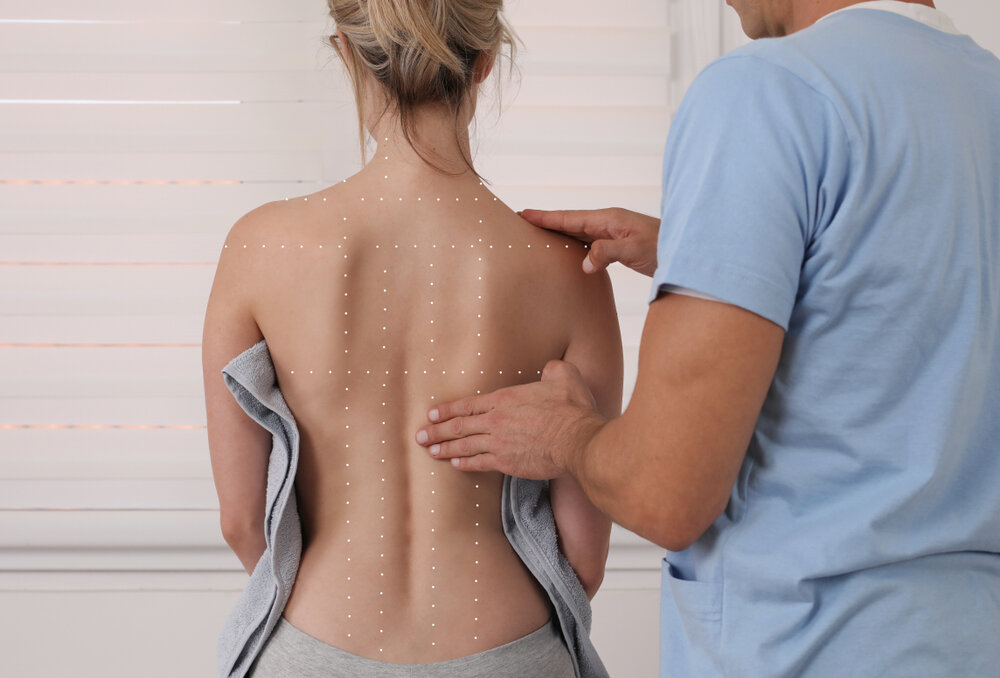 Blog  The Basics of Back Pain and Spinal Anatomy